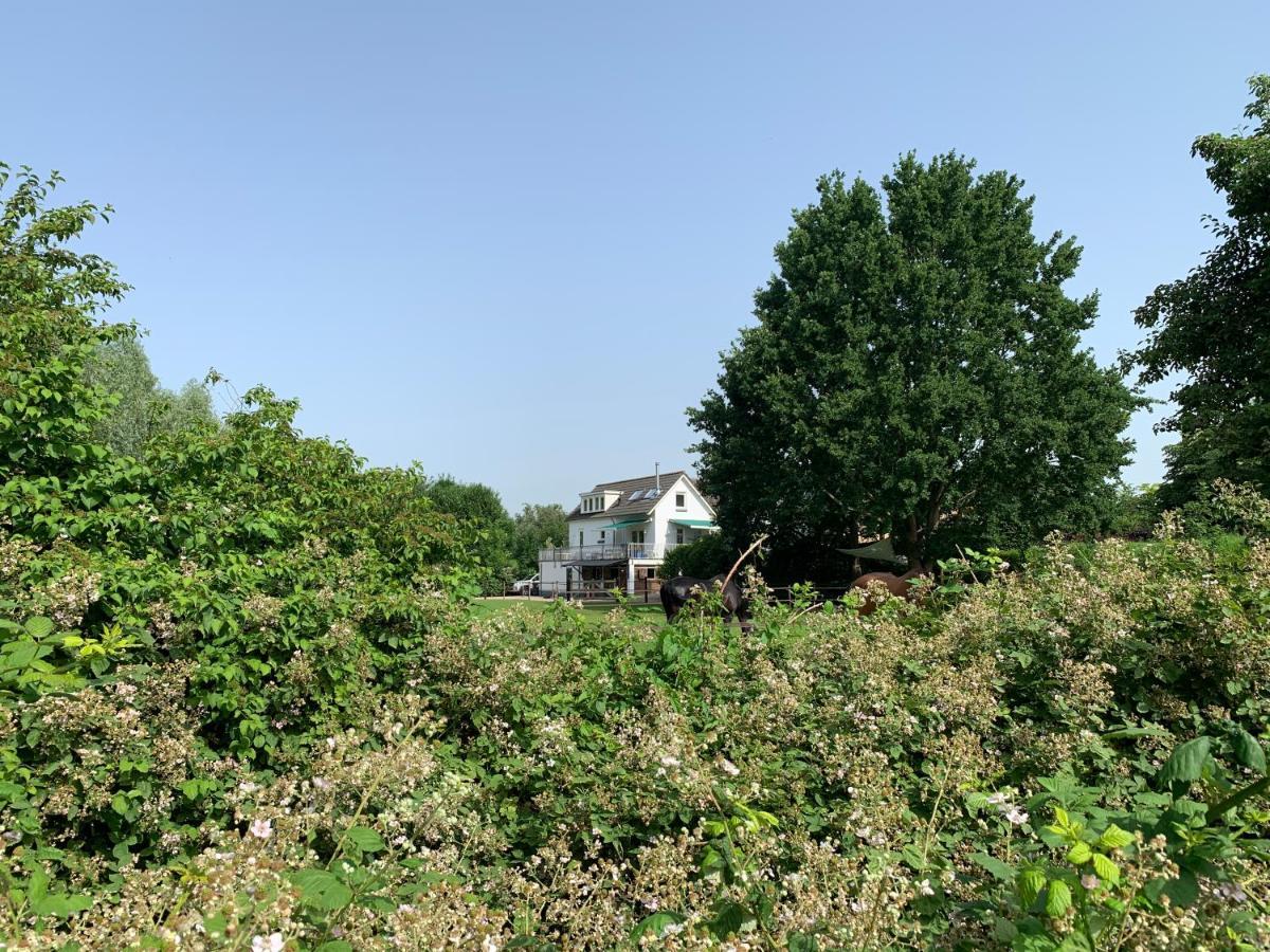 Luxury Guest House - Eik Aan De Dijk Aalst Esterno foto